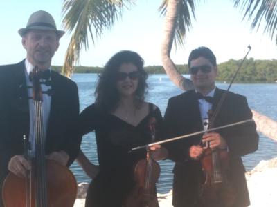 Eleganza Strings | Miami, FL | Classical String Quartet | Photo #12