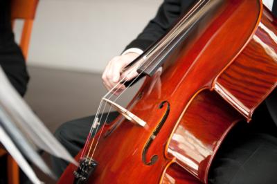 Eleganza Strings | Miami, FL | Classical String Quartet | Photo #8
