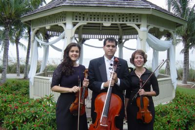 Eleganza Strings's Main Photo