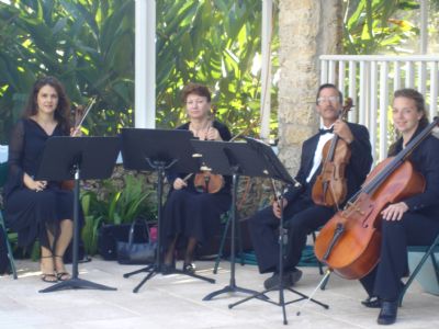 Eleganza Strings | Miami, FL | Classical String Quartet | Photo #2