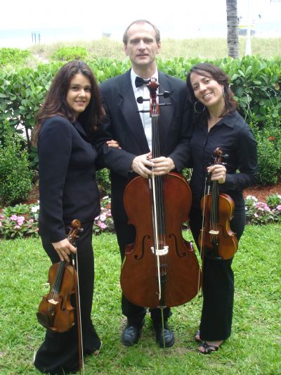 Eleganza Strings | Miami, FL | Classical String Quartet | Photo #3