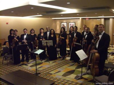 Eleganza Strings | Miami, FL | Classical String Quartet | Photo #4
