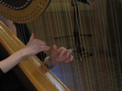Emily John | New York, NY | Classical Harp | Photo #7