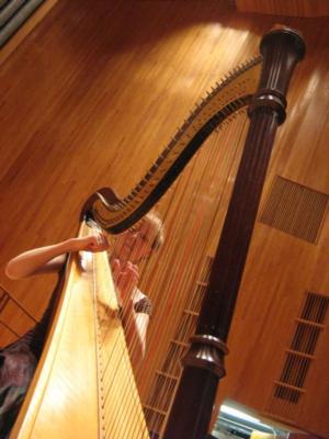 Emily John | New York, NY | Classical Harp | Photo #5