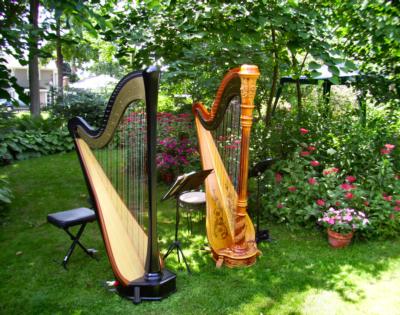 Devon Haupt, The Classic Harpist | South Bend, IN | Harp | Photo #6