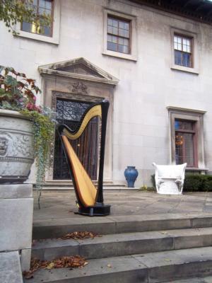 Devon Haupt, The Classic Harpist | South Bend, IN | Harp | Photo #16