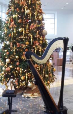 Devon Haupt, The Classic Harpist | South Bend, IN | Harp | Photo #7