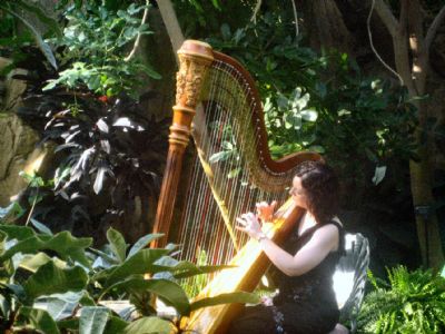 Devon Haupt, The Classic Harpist | South Bend, IN | Harp | Photo #2