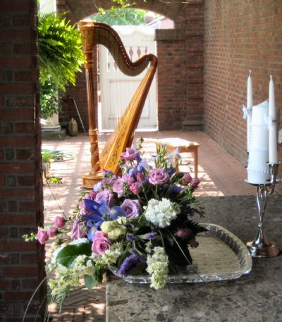 Devon Haupt, The Classic Harpist | South Bend, IN | Harp | Photo #3