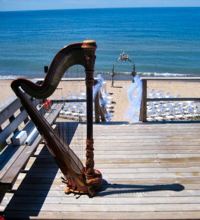 Devon Haupt, The Classic Harpist | South Bend, IN | Harp | Photo #5
