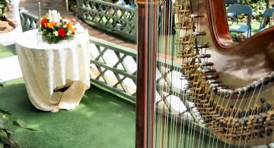 Devon Haupt, The Classic Harpist | South Bend, IN | Harp | Photo #11