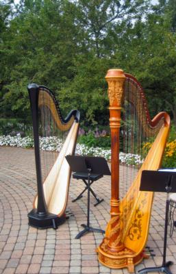 Devon Haupt, The Classic Harpist | South Bend, IN | Harp | Photo #14