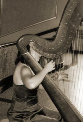 Devon Haupt, The Classic Harpist | South Bend, IN | Harp | Photo #15
