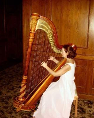 Devon Haupt, The Classic Harpist | South Bend, IN | Harp | Photo #17