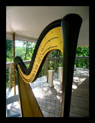 Devon Haupt, The Classic Harpist | South Bend, IN | Harp | Photo #19