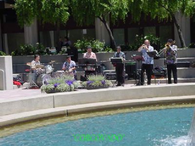 CORCOVADO | San Francisco, CA | Latin Band | Photo #3