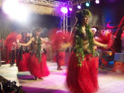 HAWAIIAN Drums of Tahiti Revue 's Main Photo