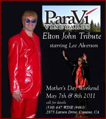 America's Elton John - Lee Alverson | McKeesport, PA | Elton John Impersonator | Photo #17
