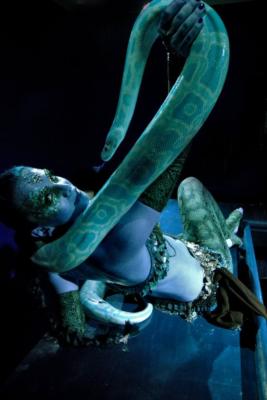 Anna's World Entertainment | New York, NY | Belly Dancer | Photo #6