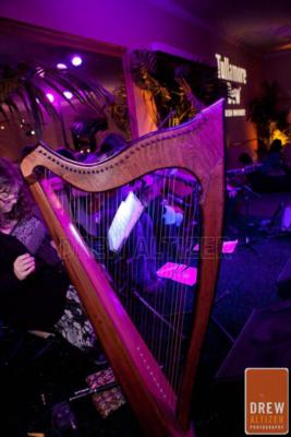 Celtic Sands | San Francisco, CA | Celtic Trio | Photo #12