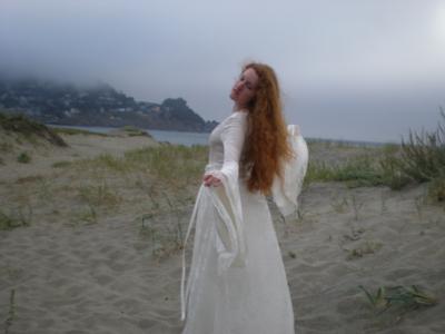 Celtic Sands | San Francisco, CA | Celtic Trio | Photo #19