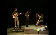 Celtic Sands | San Francisco, CA | Celtic Trio | A Fig For a Kiss (with opening harp solo)