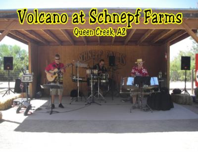Volcano Island Band featuring Sean Mireau | Phoenix, AZ | Steel Drum Band | Photo #9