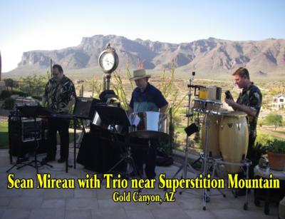 Volcano Island Band featuring Sean Mireau | Phoenix, AZ | Steel Drum Band | Photo #12