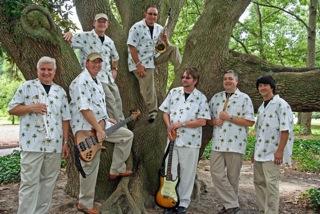 Palmetto Groove Band's Main Photo