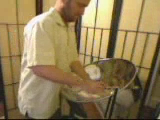 Kristian Paradis - Steel Drums | Philadelphia, PA | Steel Drum | Traditional Wedding Music