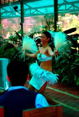 Aloha Hula NYC | New York, NY | Hula Dancer | Photo #16