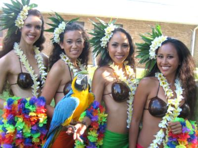 Polynesian Dance Productions | New York, NY | Polynesian Dancer | Photo #21