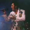 Premiere Elvis Impersonator - James Clark 's Main Photo