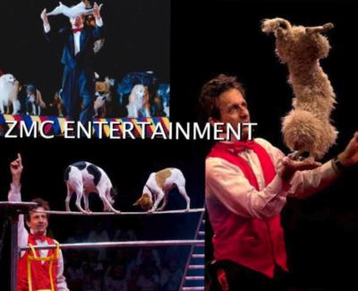ZMC Entertainment, Inc. | Lighthouse Point, FL | Dance Group | Photo #6