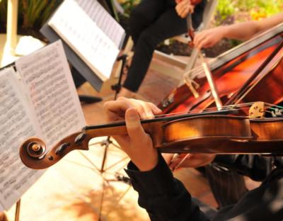 Andromeda String Quartet's Main Photo
