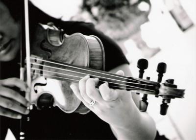 La Bella Musica | Wakefield, RI | Classical String Quartet | Photo #7