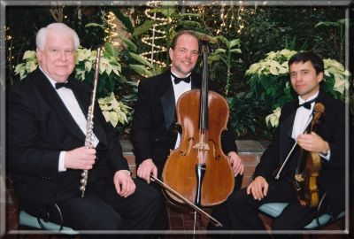 All Seasons Ensemble | Albany, NY | String Quartet | Photo #2