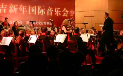 Quintessential Strings | Skokie, IL | Classical String Quartet | Photo #13