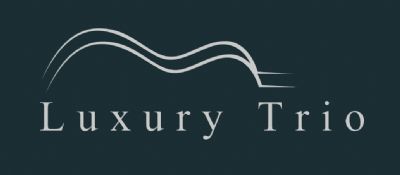Luxury Trio | Houston, TX | Jazz Band | Photo #2