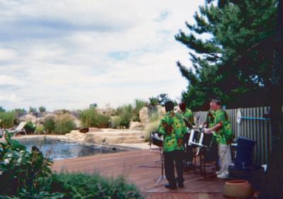 Steel Drum Soloist | Philadelphia, PA | Steel Drum | Photo #9