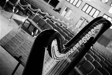 Liesl Hagan | Atlanta, GA | Classical Harp | Photo #11