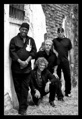 Topper-Voices Of Rock | Atlanta, GA | Variety Band | Photo #24