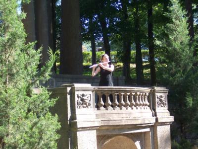 Alura Ensemble | Derry, NH | Classical Duo | Photo #9