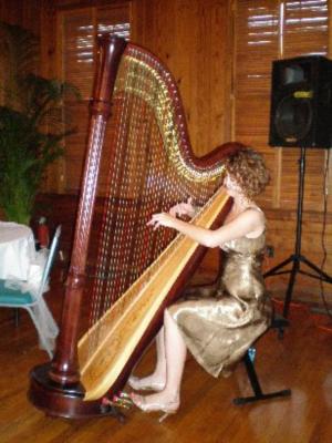Kirsten Carrell Osborne | Charlotte, NC | Classical Harp | Photo #4