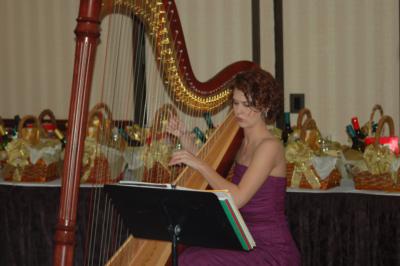 Kirsten Carrell Osborne | Charlotte, NC | Classical Harp | Photo #7