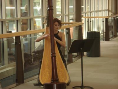 Kirsten Carrell Osborne | Charlotte, NC | Classical Harp | Photo #8