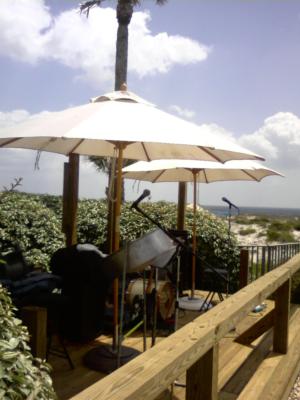 First Coast Steel | Jacksonville, FL | Steel Drum Band | Photo #16