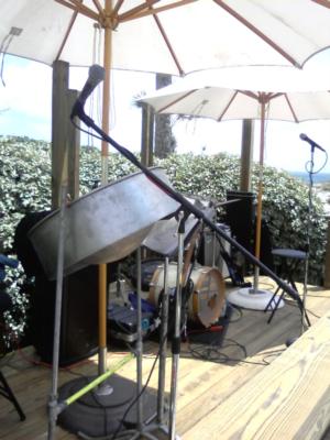First Coast Steel | Jacksonville, FL | Steel Drum Band | Photo #13