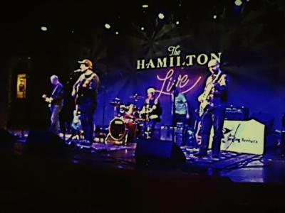 The Jangling Reinharts | Richmond, VA | Rock Band | Photo #11