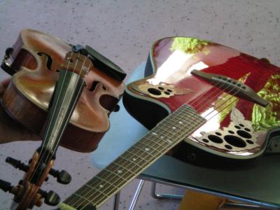 String Serenade | Scottsdale, AZ | Classical String Quartet | Photo #11